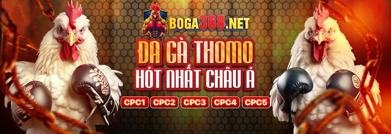 Hình ảnh đại diện trang liên hệ của đánh giá FCB8